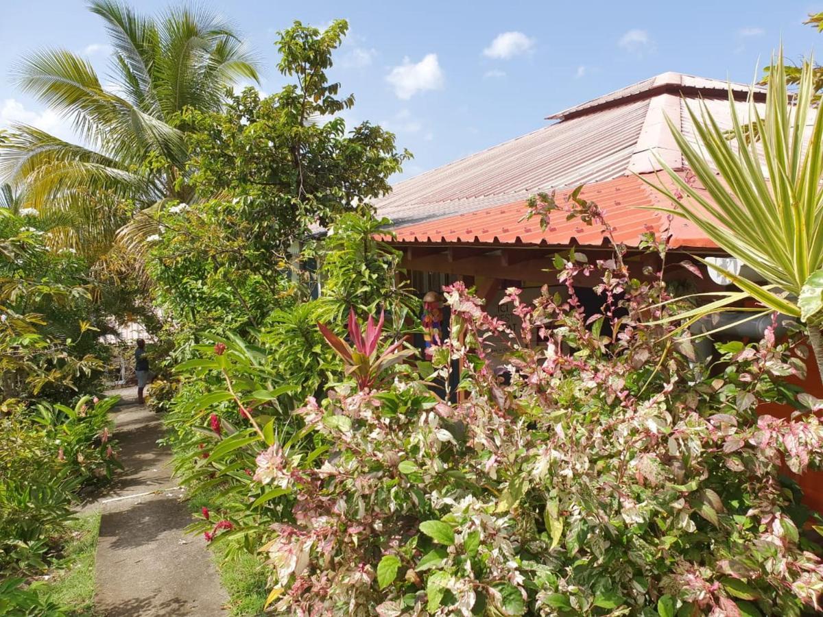 Les Gîtes Du Domaine De Petite-Anse Bouillante Extérieur photo